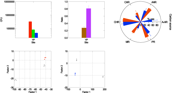 Soil activity graphs